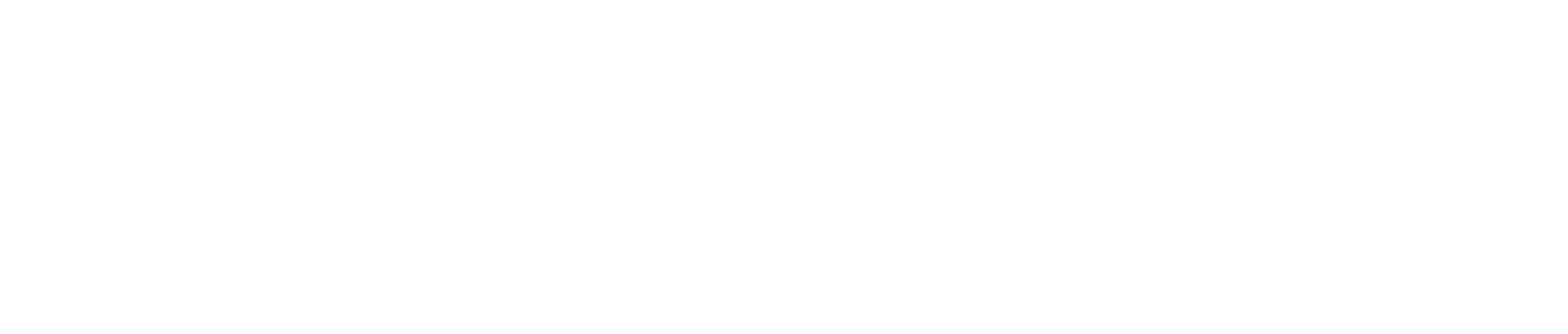 SLakes_Over_90_Years_Logo_White (1) Southern Lakes 90 Year logo - white